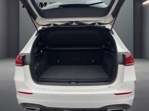 Mercedes-Benz B 250 AMG Line